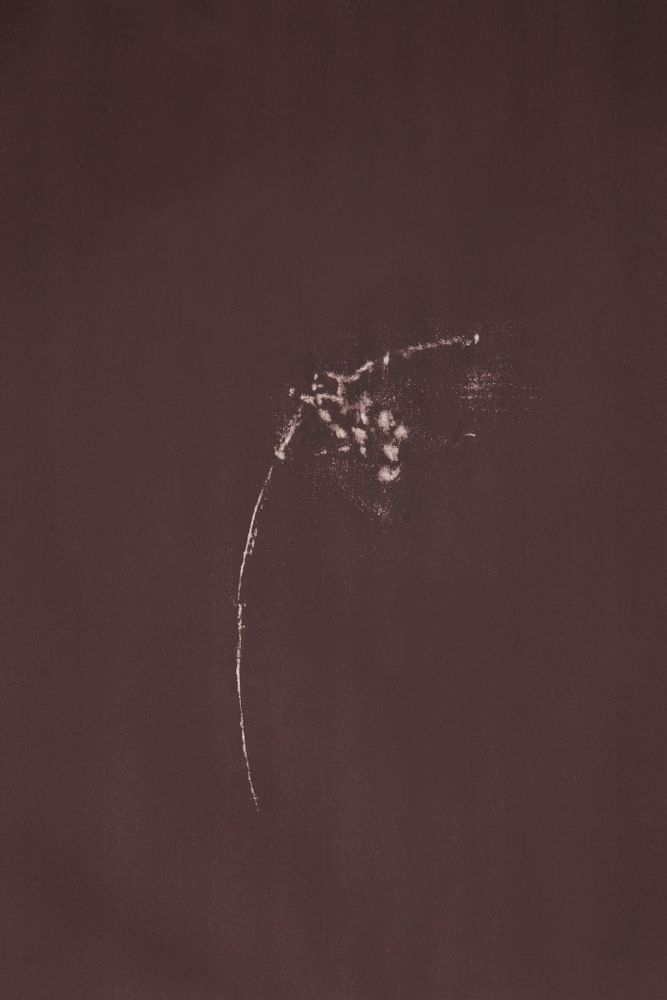 Barren Herbarium