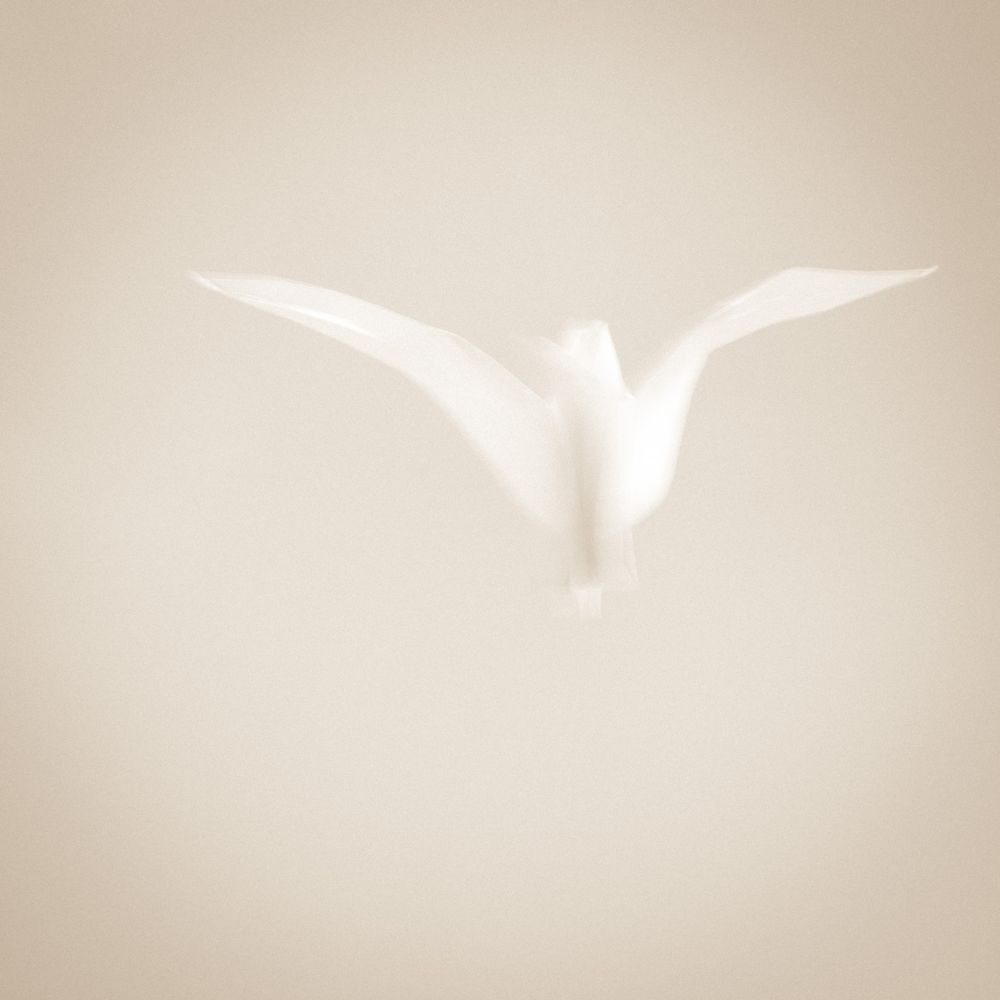 Grus Japonensis