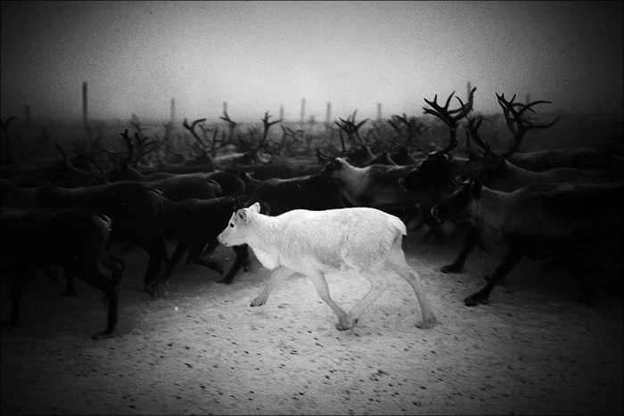 The North Corrida