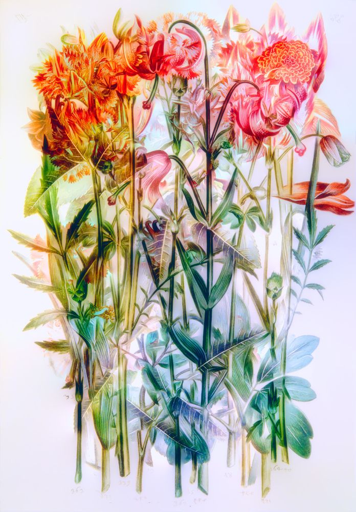 Larry Chait Virtual Bouquets from The Green Florilegium LensCulture