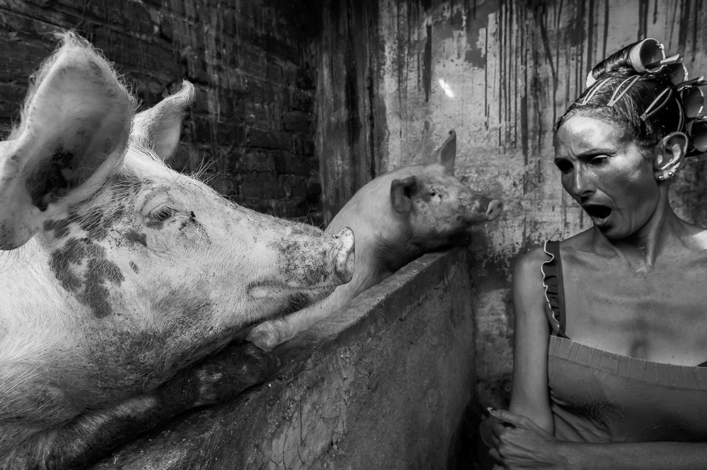 Cuba 2012 