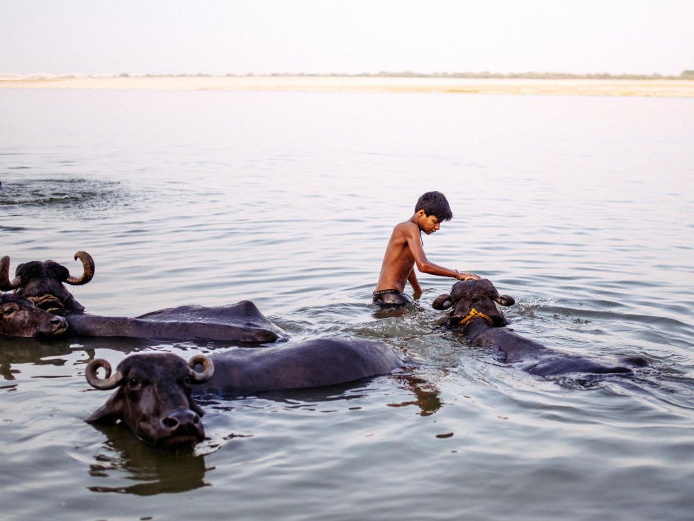 This is Varanasi
