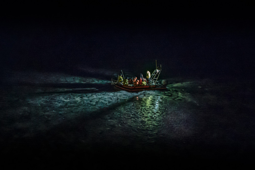 Into the Dark