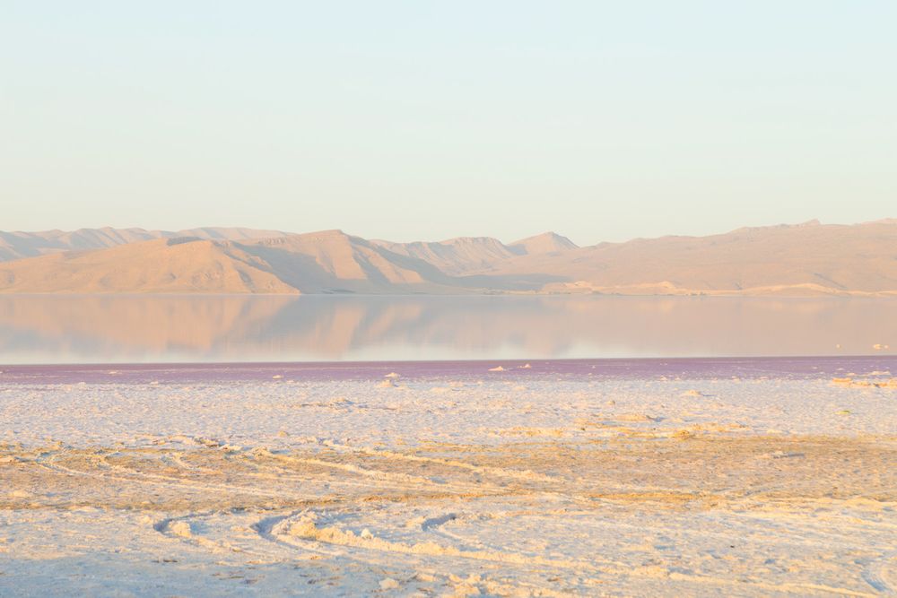 The Salt Lake
