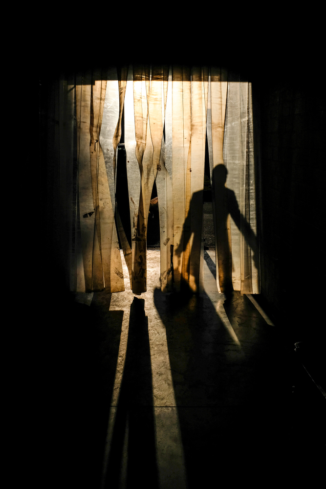 Shadows and Silhouettes