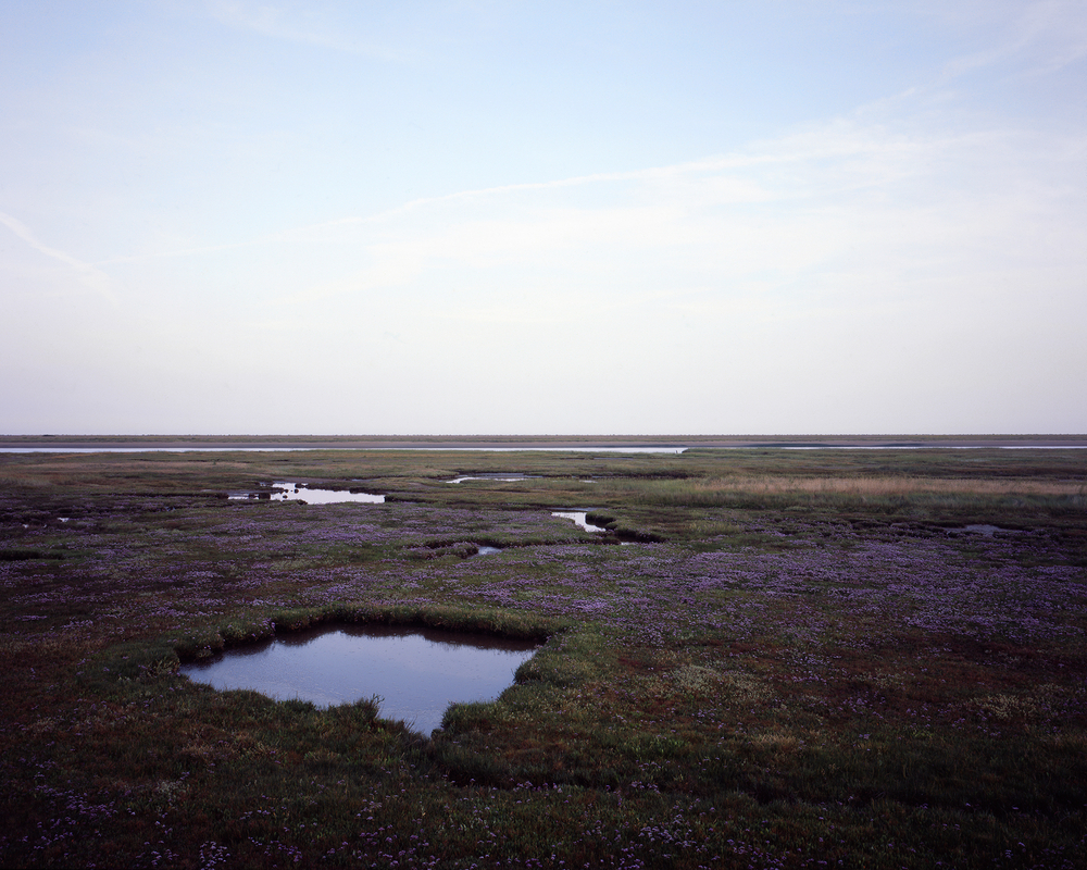 adrian manning - Coastal salt marsh series | LensCulture