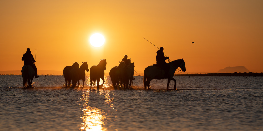 Sunset at the Camargue
