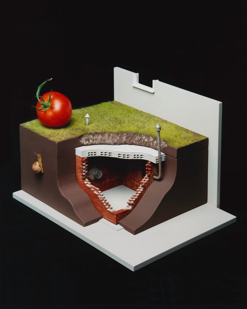 From "The Preppers Movement" © Charles Négre