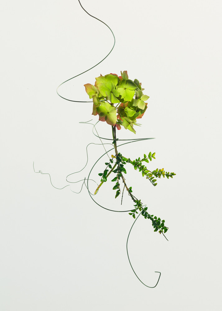 Tethered