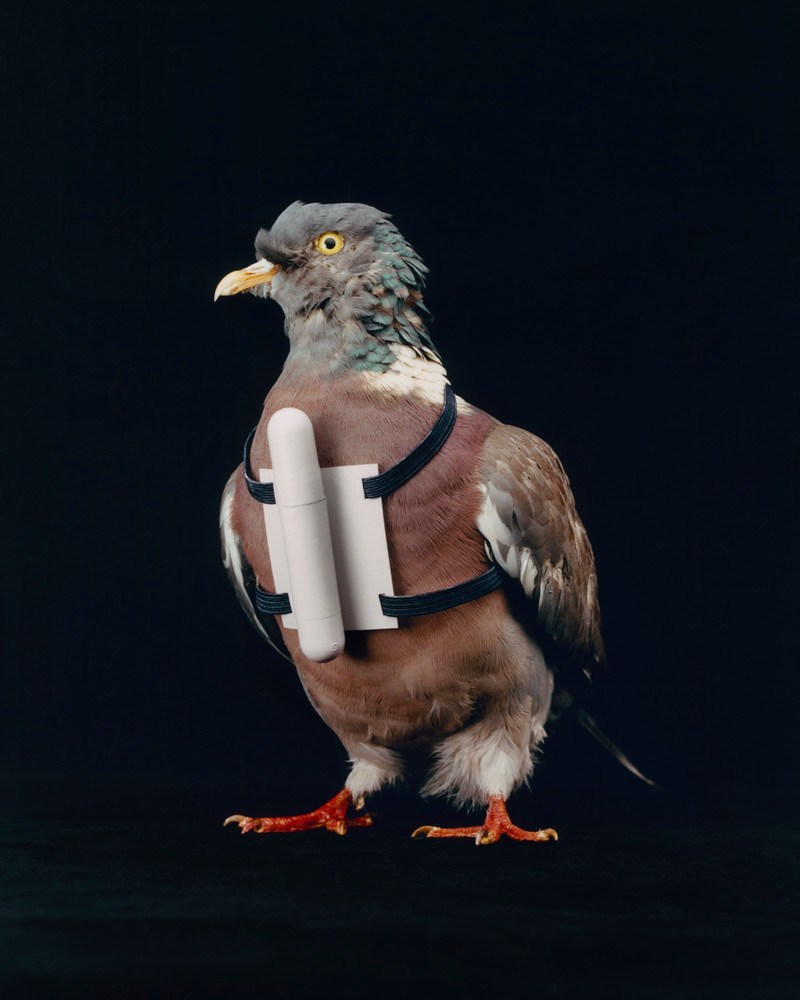 From "The Preppers Movement" © Charles Négre