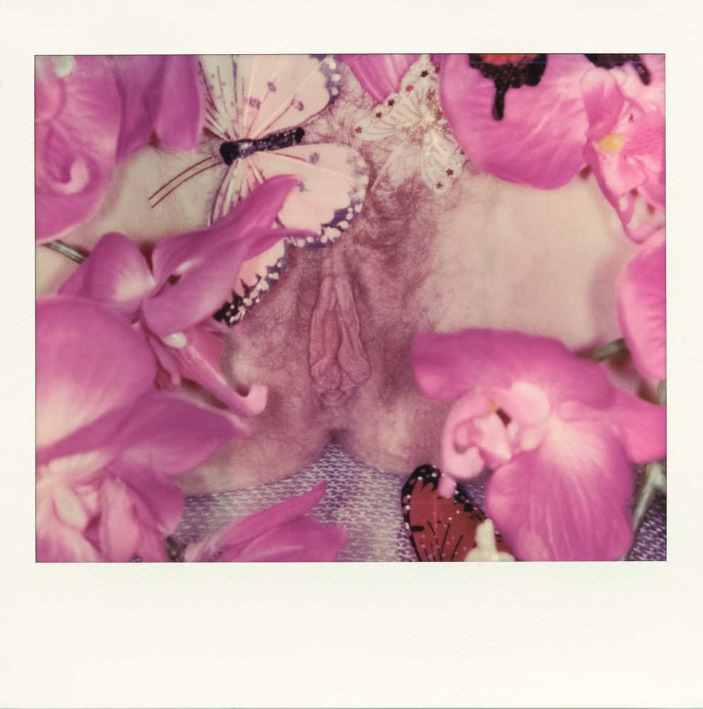Every Vulva is beautiful