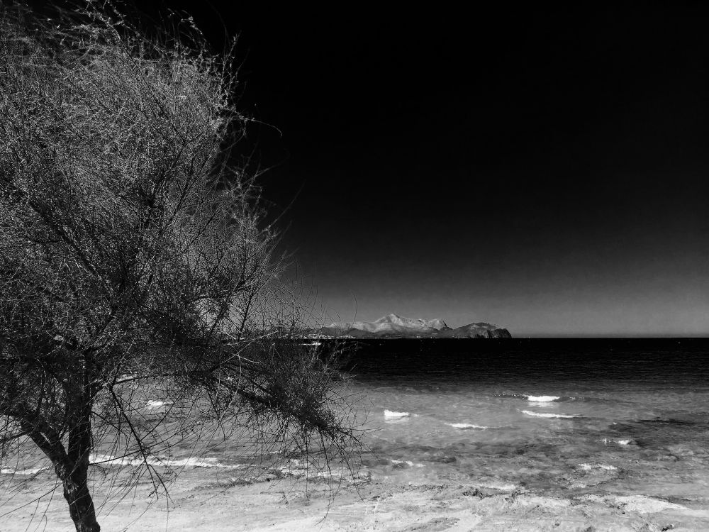 Voyages en noir et blanc