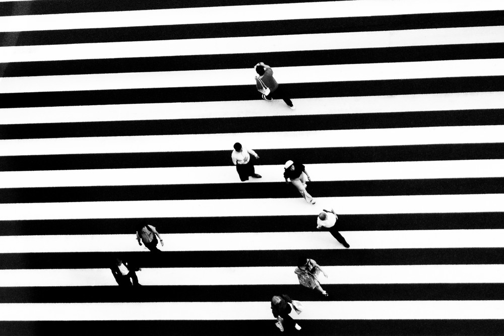 Tokyo Grid
