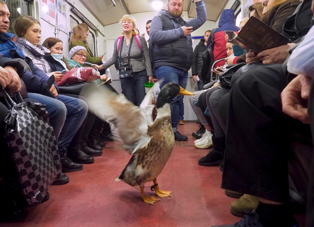 Glued to the Tube