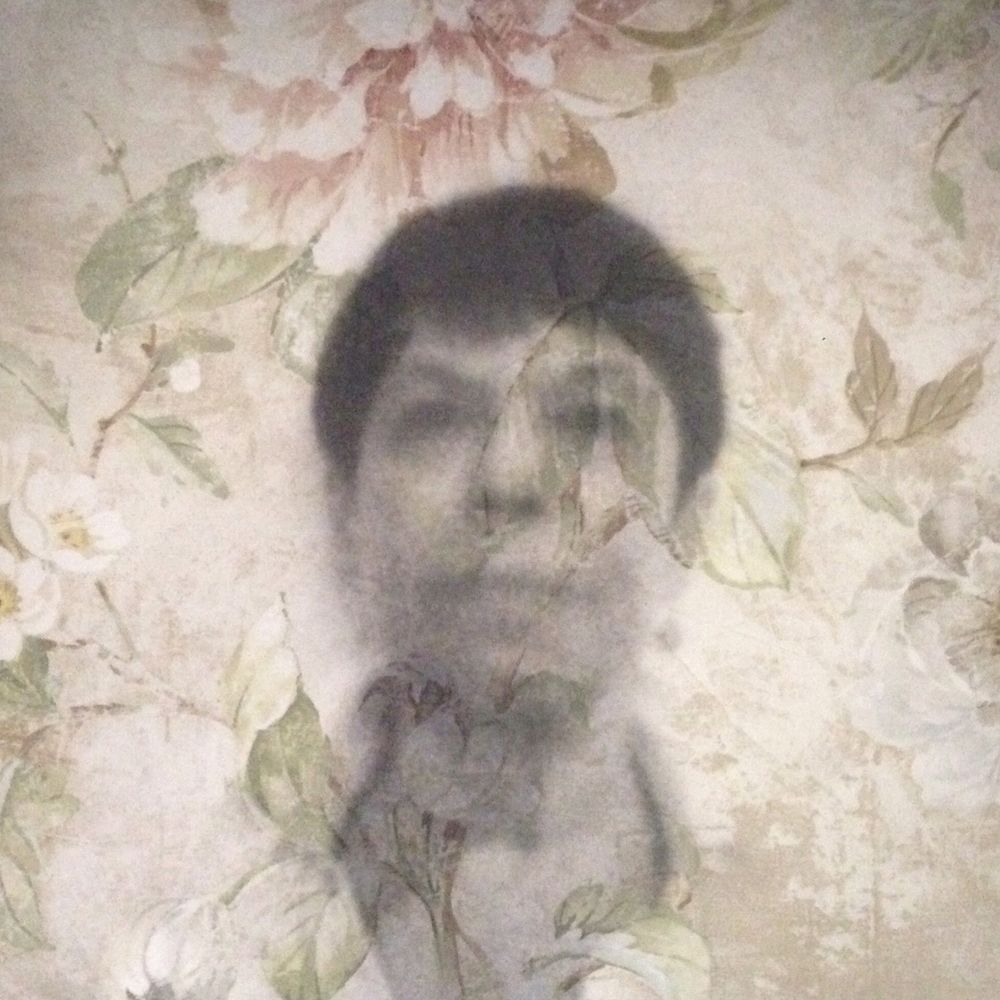 The Wallflower Project