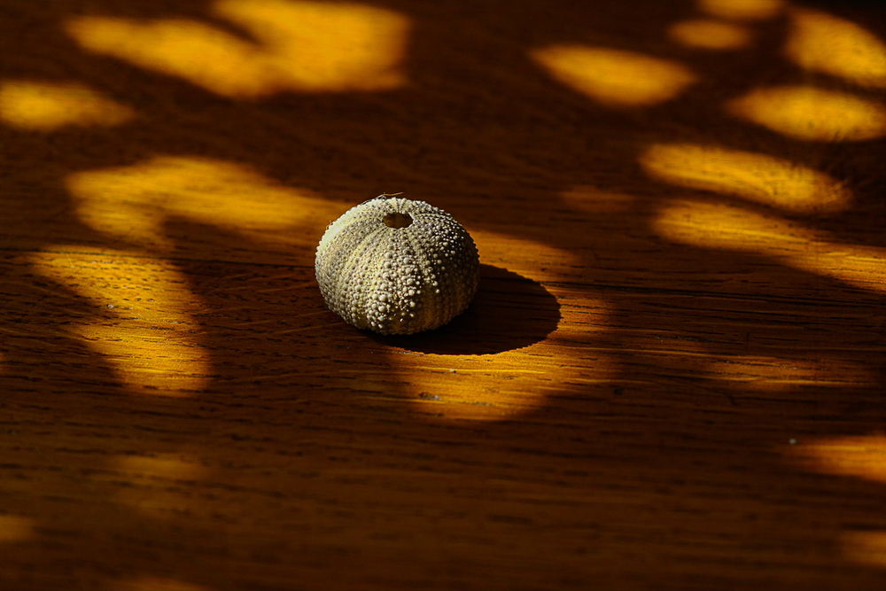 Submission Inside/outside : life crossing home.