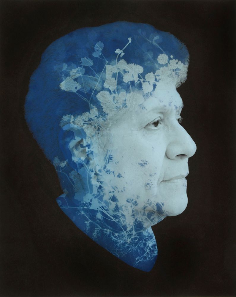 Portfolio Category - Portrait Awards 2014