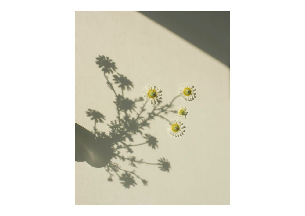 The bright shadow