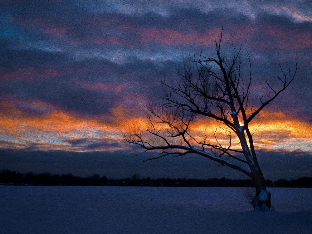 'Seasonal, Moody, Reflective'