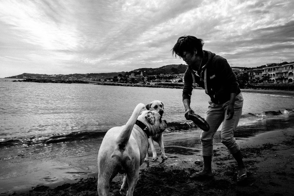 Dogs&Friend lot of fun