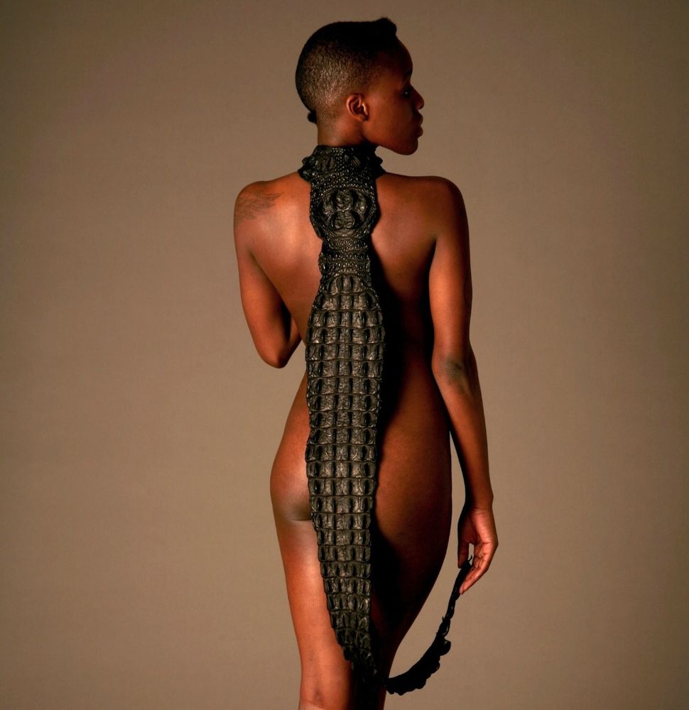 The Back