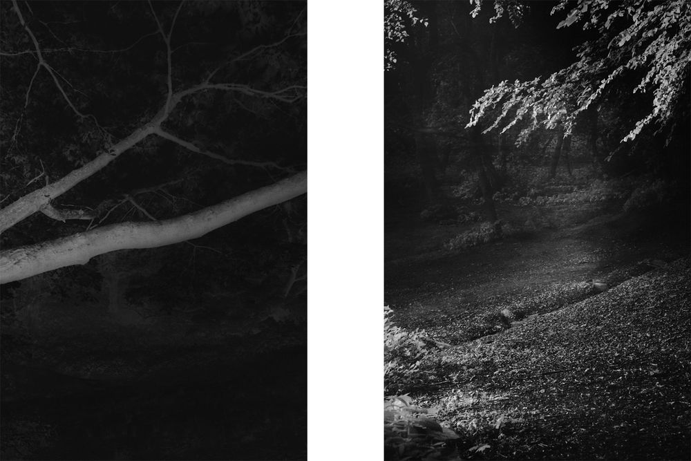 Diptychs from ongoing series, set I