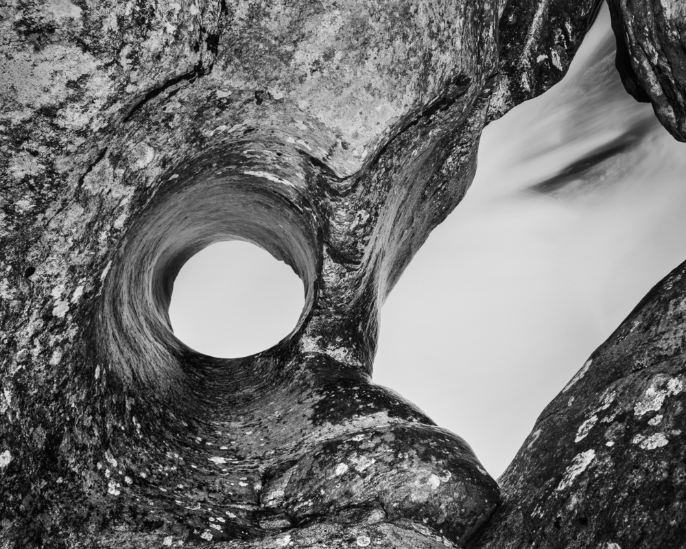 The Architecture of Nature