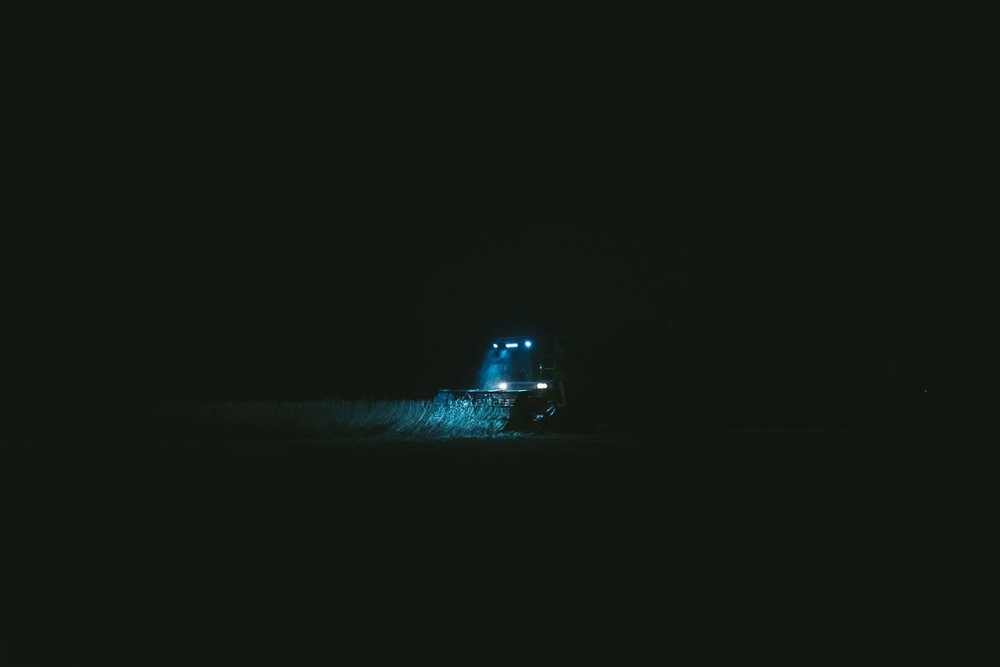 Nights