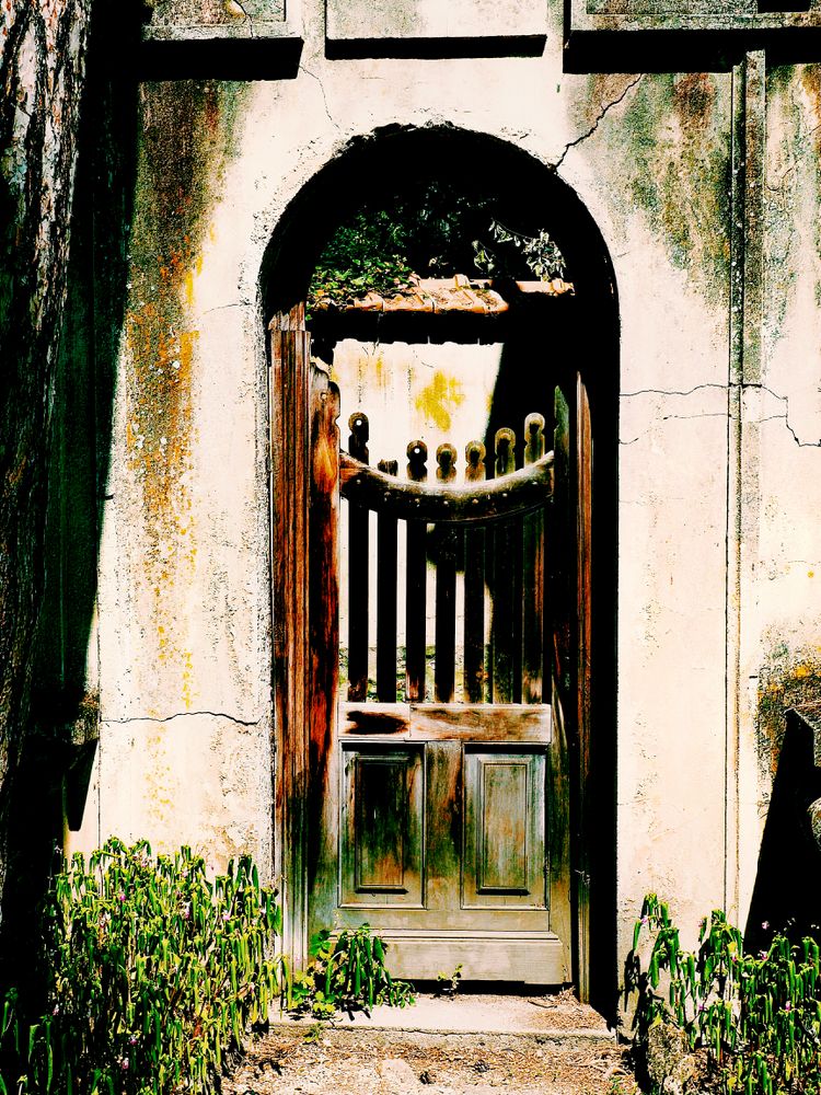 DOORS, WALLS & WINDOWS