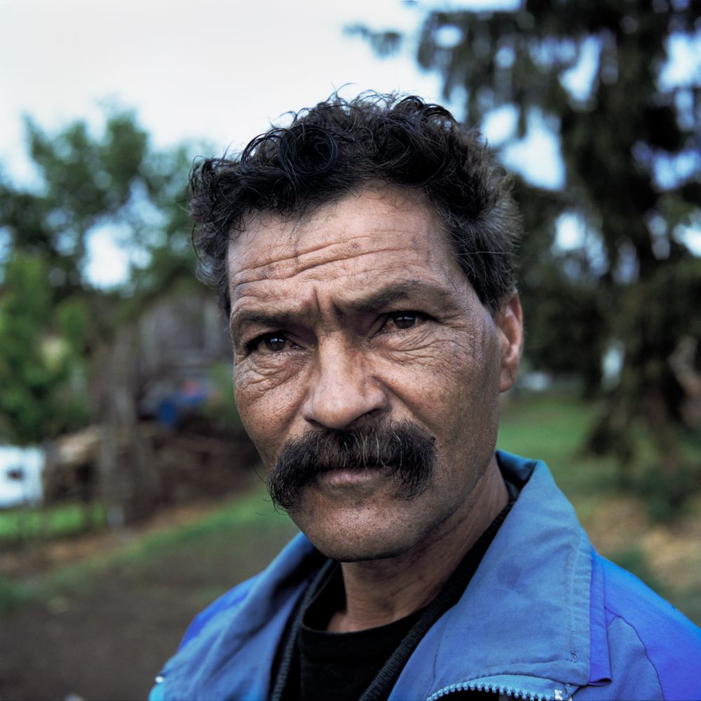 Portraits from the series "Cikória"