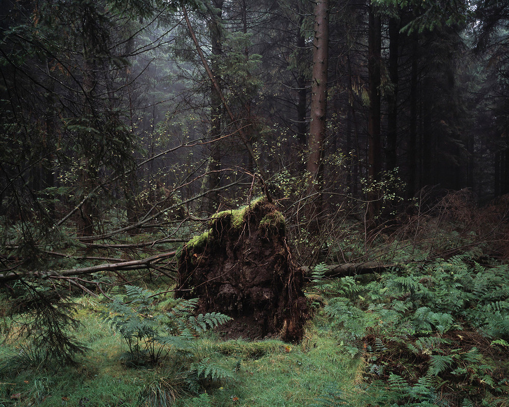 The Silent Land