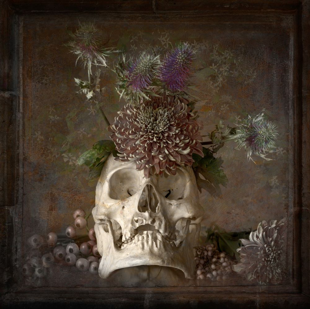 Bobby C. Alkabes Flowers of the crypt LensCulture