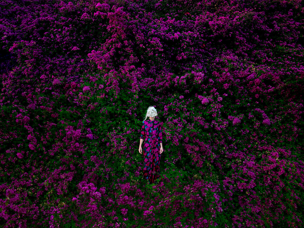 Without Words:  grounded in nature