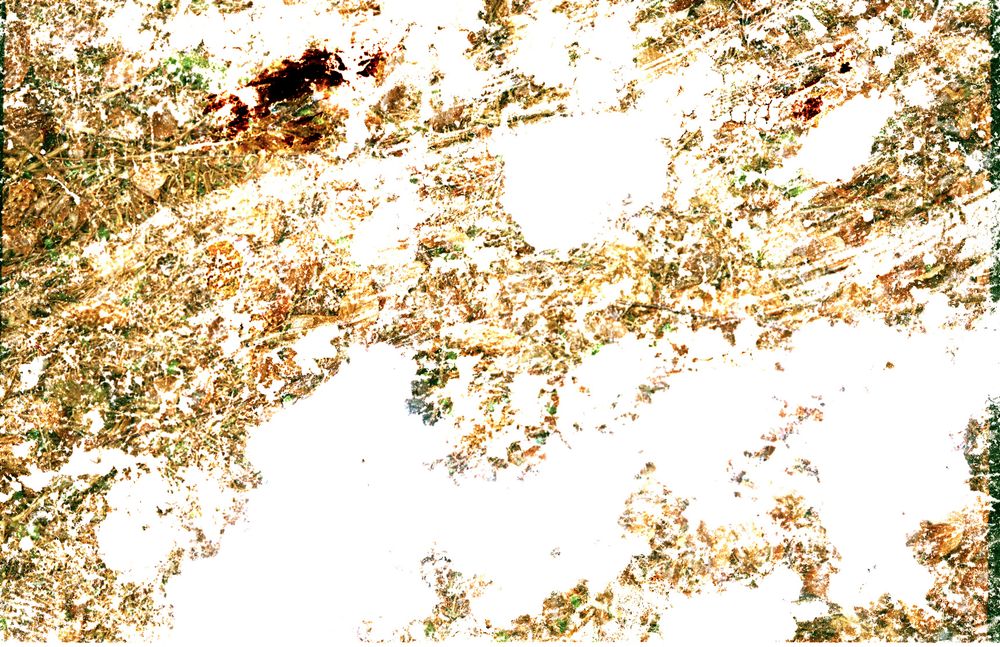 Desolated Land 
