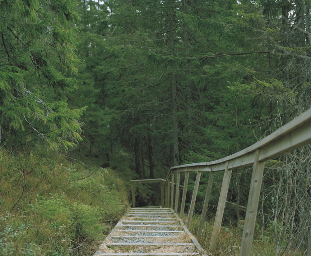 Norefjell