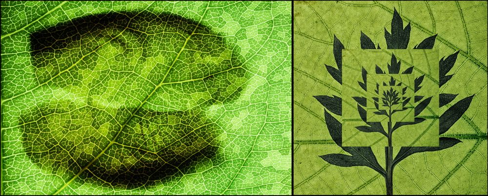 Reinterpretations - asymmetric diptych 