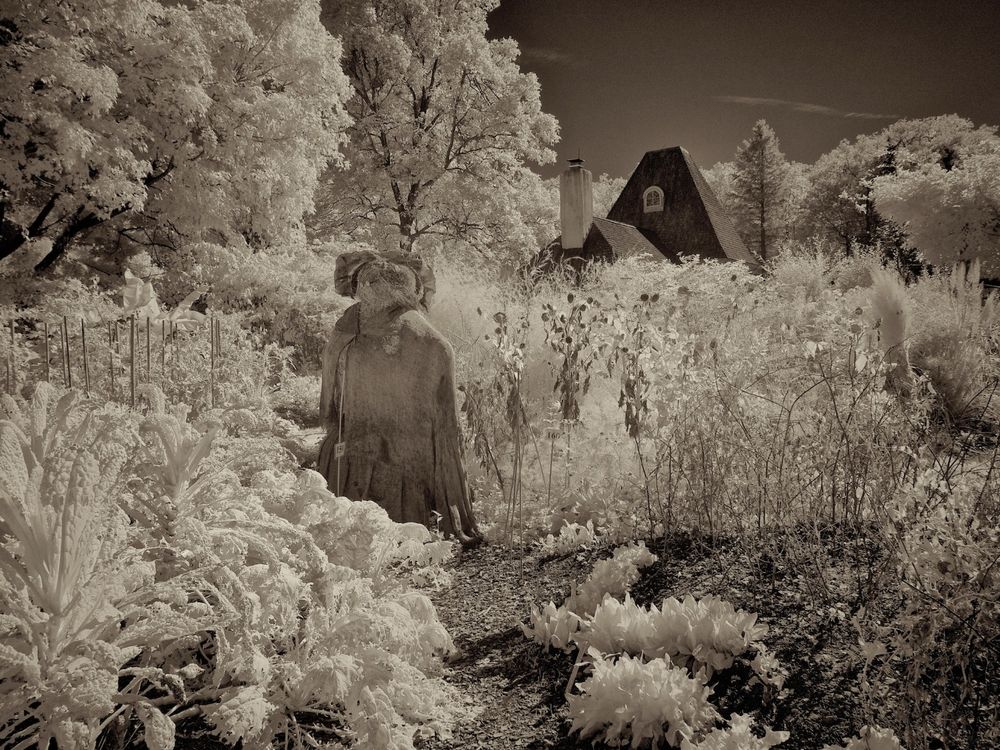 The Seer's Story