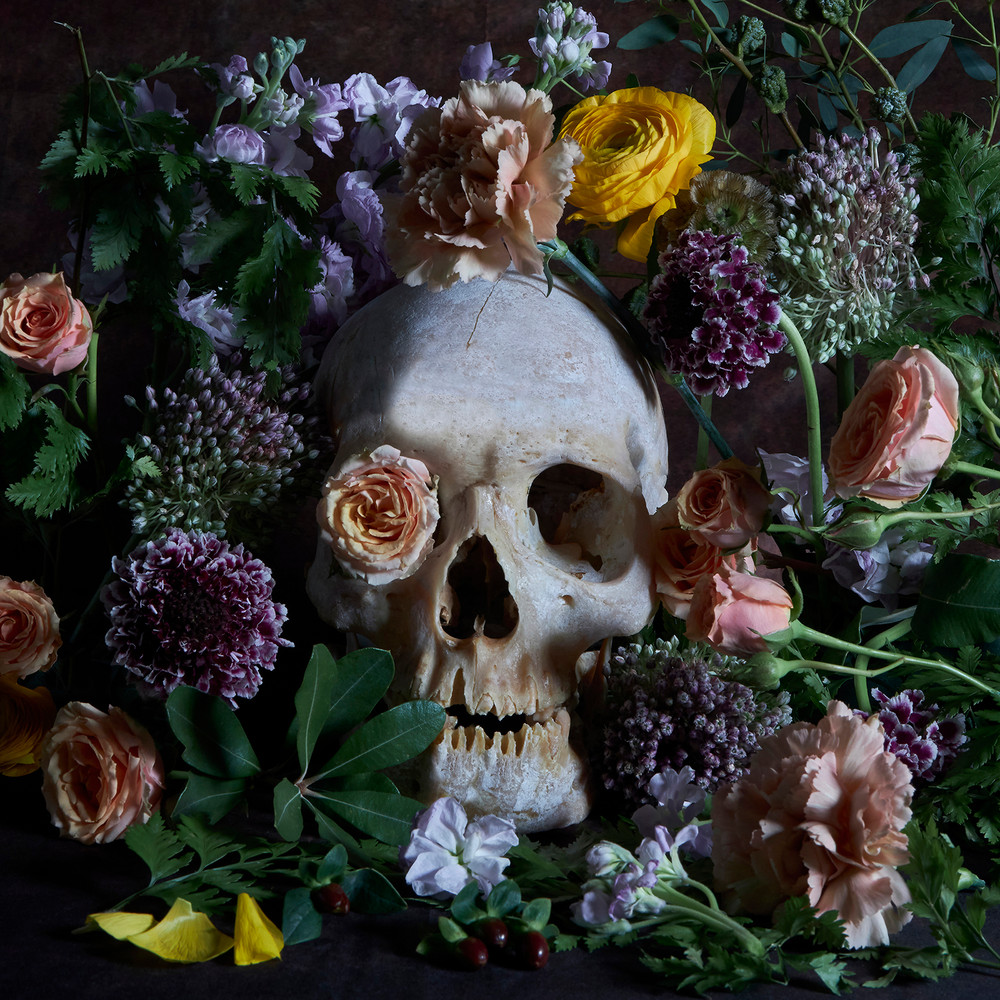 Human skull series