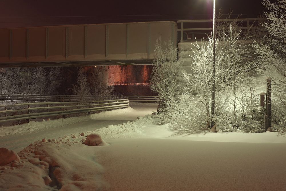 Kaamos