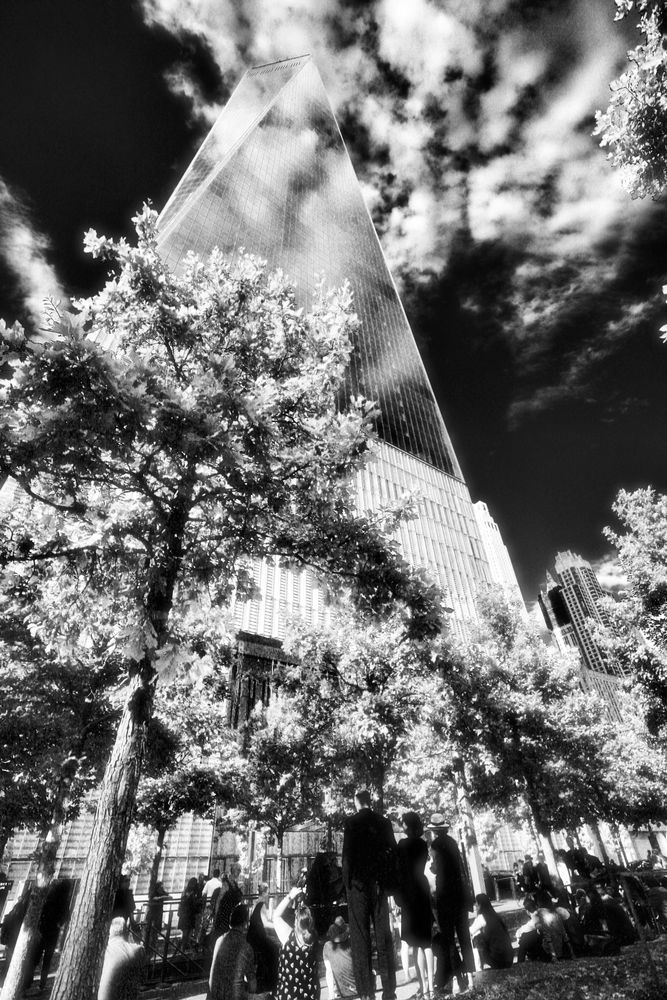New York Impressions