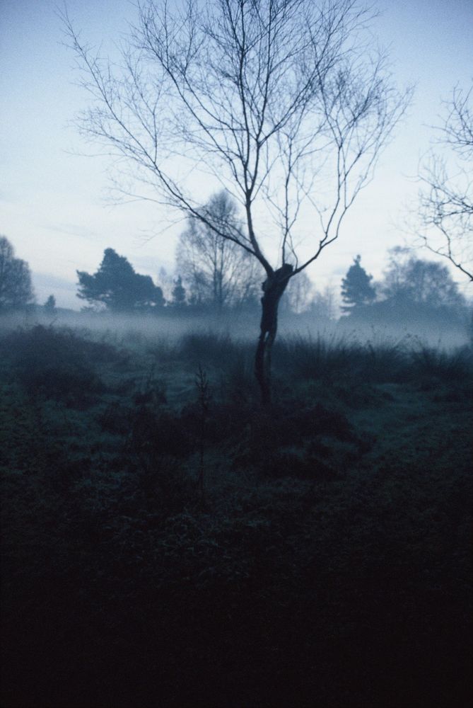 Travelling In A Strange Land