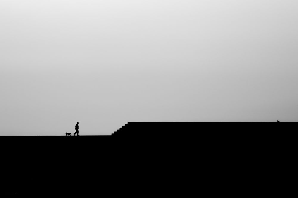 A man, a dog and seagulls
