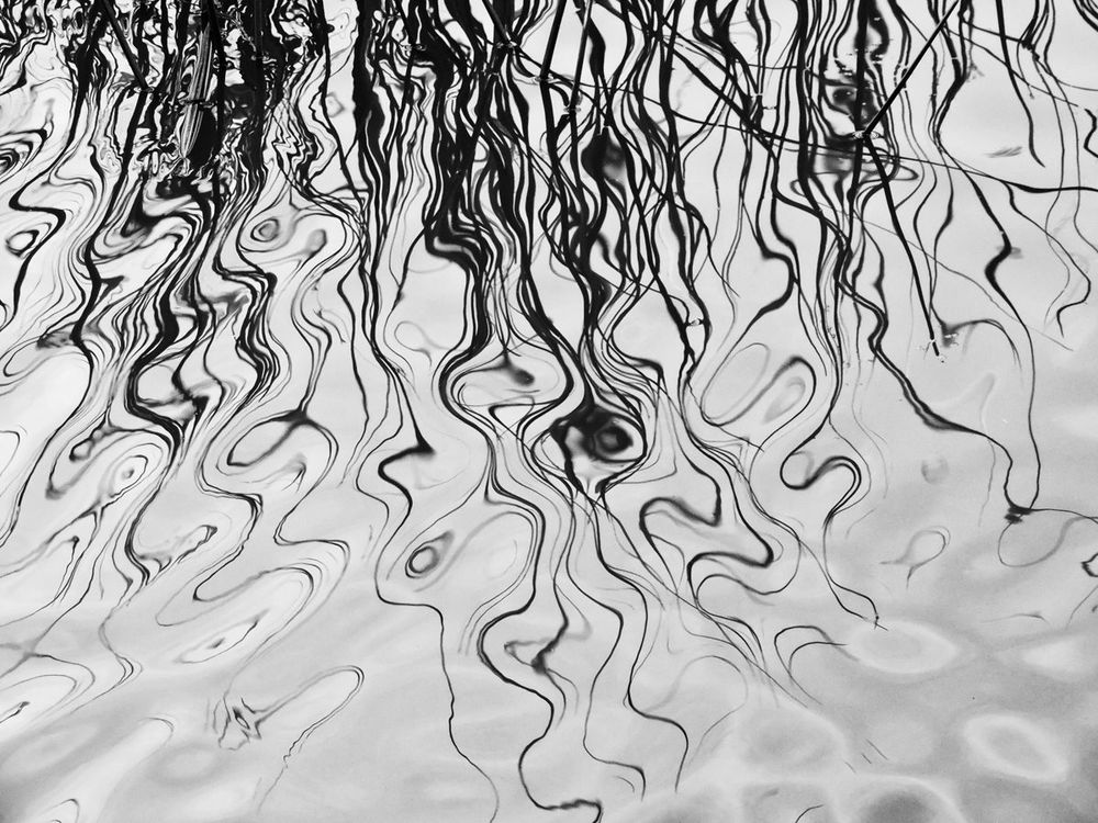 Beside the water II