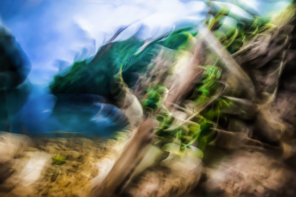 Motion: Thespian Landscape