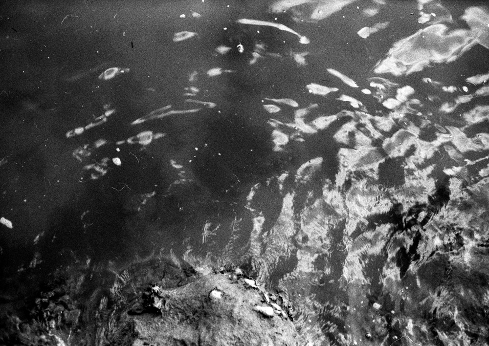 Resonance - (Kaiahiku, Panmure Basin)