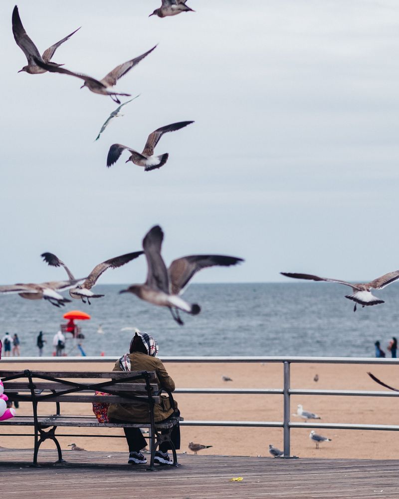 Life in New York