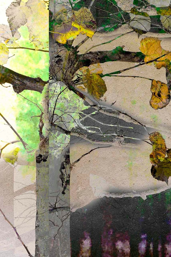 Trees