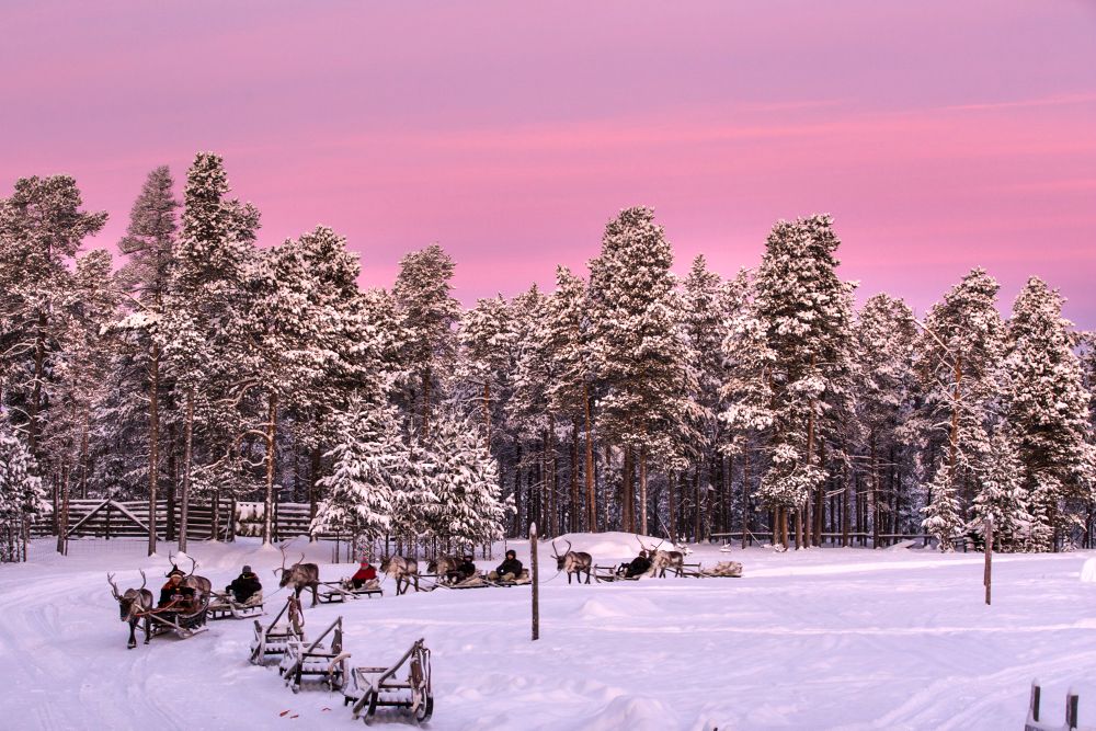Finnish Arctic Colors