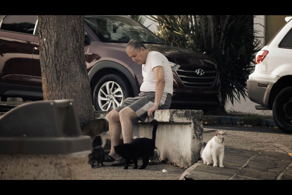 The Cinematic Moments of Everyday Life