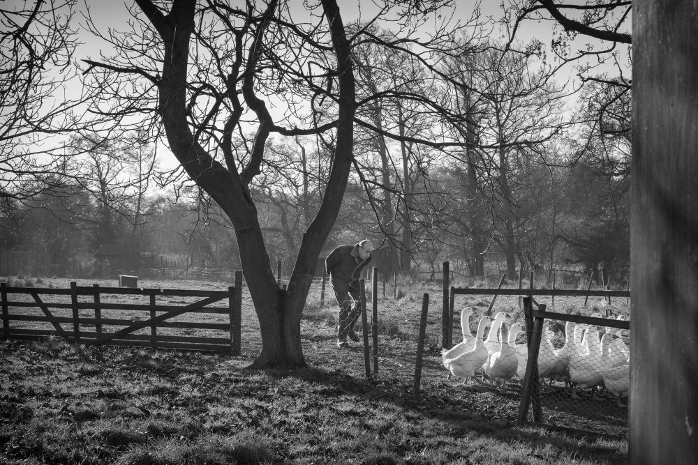 Rural Life, North Yorkshire